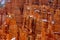 Hoodoos close up in Utahâ€™s Bryce canyon with little bits of snow