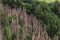 Hoodoos near Lengmoos and Longomoso in South Tyrol, Northern Italy