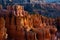 Hoodoos and Pine Trees in Bryce Canyon