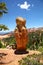 Hoodoos and Ponderosa Pines in Bryce Canyon National Park