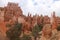 Hoodoos Queens garden trail Bryce Canyon