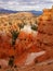 Hoodoos Rocks Closeup Sunrise Bryce Canyon