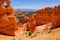 Hoodoos and Thors Hammer, Bryce Canyon National Park, Utah, USA