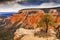 Hoodoos Tree Bryce Point Bryce Canyon National Park Utah