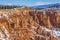 Hoodoos, Trees, and Snow in Bryce