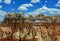 Hoodoos windows, Bryce Canyon National Park