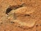 Hoof imprint