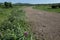 Hoofprints on the ground. Hoof tracks on the village road. Summer sunny landscape