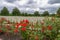 Hooge Crater WW1 Cemetery near Ypres