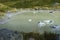 Hooker Lake, small glacial lake.with icebergs and man swimming