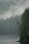 Hoonah, Alaska: A lone pine tree leans out over the water on the edge of a cliff