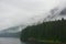 Hoonah, Alaska: A lone pine tree leans out over the water on the edge of a cliff