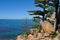 Hoop pines, granite rocks and seascape on Magnetic Island