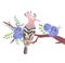 Hoopoe bird on a floral branch with blue roses and leaves watercolor painting