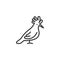 Hoopoe bird line icon