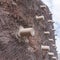 Hoover Dam construction demonstration