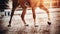 The hooves of a horse galloping across the sand are illuminated by sunlight. Dressage competitions. Equestrian sport. Horseback