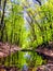 Hop brook dam state park in Naugatuck