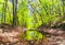 Hop brook dam state park in Naugatuck