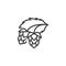 Hop cones line icon