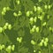 Hop. Dense branches overgrown with cones. Sagging shoots with leaves. Wild nature. Seamless pattern. Square dark