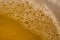 Hop foam looks delicious, and the more beer bubbles, the better the quality of beer. This is a close-up of beer foam.