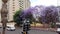 Hop on hop off tourist tour bus traveling in a street of Johannesburg suburb, South Africa