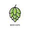 Hop icon vector beer cone pine illustration leaf art bud green decoration. Beer fresh hop icon isolated