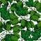 Hop seamless pattern. Hand drawn artistic beer green hope