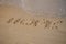 Hope message on the beach sand