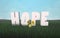 Hope for a new life in harmony with nature letters on the grass 3d