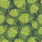 Hope seamless pattern. Hop cone background. Craft Beer wallpaper.