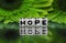 Hope text with green flowers