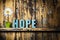 Hope text word vase with daisy on worn wooden background