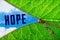 Hope word under zipper leaf