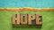 Hope word in vintage wood type - optimism concept