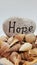 Hope written on stone with shells in brown color.