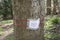 Hopeful message on tree about kindness in time of coronavirus