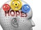 Hopes and human mind - pictured as word Hopes inside a head to symbolize relation between Hopes and the human psyche, 3d