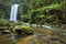 Hopetoun Falls in Great Otway NP, Australia