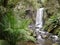 Hopetoun falls and a tree fern near the great ocean road in victoria