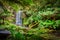 The Hopetoun Falls is a waterfall across the Aire River that is located in The Otways region of Victoria