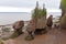 Hopewell Rocks in low tide, New Brunswick, Canada