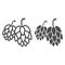Hops line and solid icon, Oktoberfest concept, Hop beer sign on white background, Hop cones icon in outline style for
