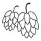 Hops thin line icon, Oktoberfest concept, Hop beer sign on white background, Hop cones icon in outline style for mobile