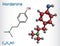 Hordenine, dimethyltyramine class, molecule. It is phenethylamine alkaloid, natural product. Structural chemical formula and