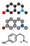 Hordenine (dimethyltyramine) stimulant molecule