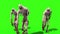 Hordes Mummies Walking Front Green Screen 3D Rendering Animation