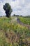 Horicon Marsh landscape