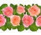 Horisontal Seamless border with Pink roses. Isolated on white ba